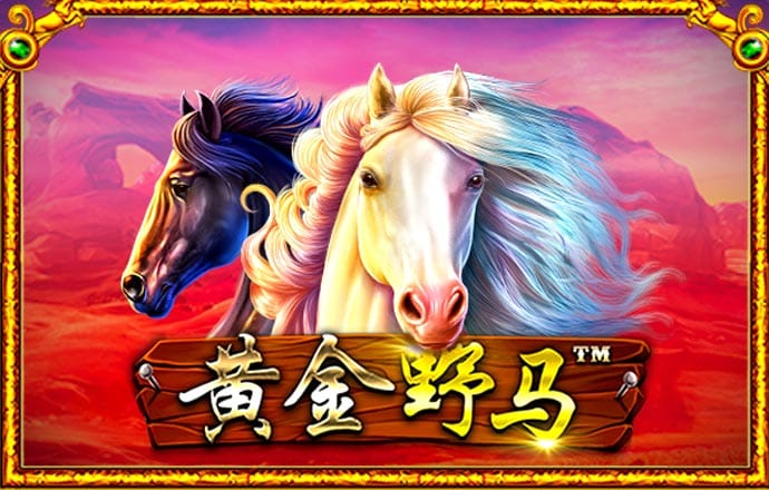 博乐体育平台怎么样